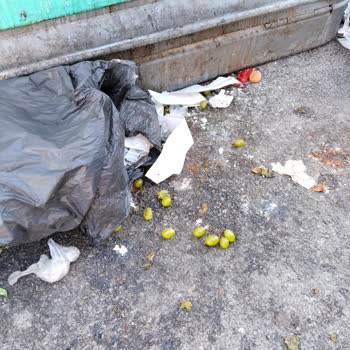 Yunus Market Çevre Kirliliği Ve Çalışan Dinlenme Şikâyeti