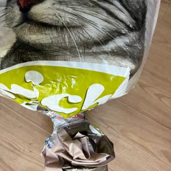 Micho Adult Cat Mama Paketi Açık Ve Hijyenik Olmayan Şekilde Geldi
