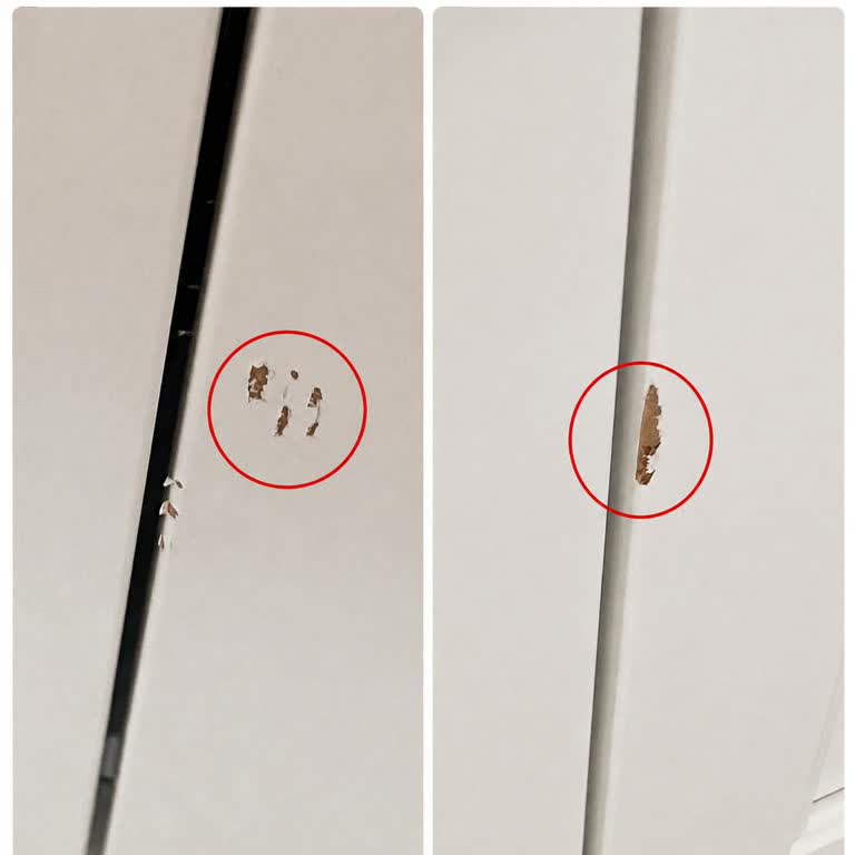 Kırık Mobilya Ve Uzun Süreli Montaj Gecikmesi