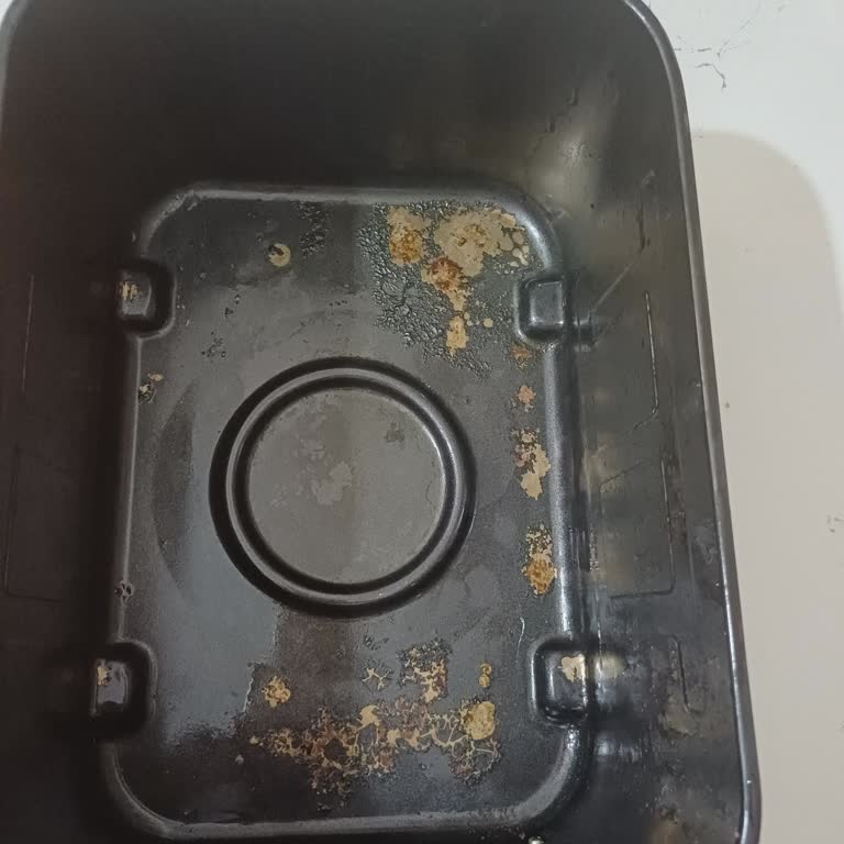 Airfryer İç Haznesinde Tekrarlayan Boya Soyulması Ve Küf Sorunu