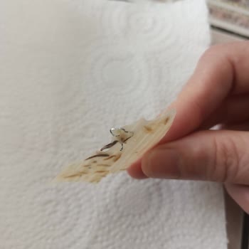 Tarhana Cipsinde Metal Talaşı Çıktı, Çocuğumda Şiddetli Karın Ağrısı Ve Cevapsız Şikayet