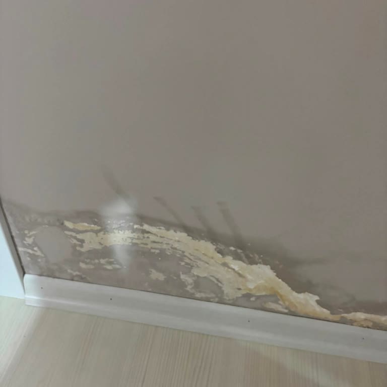 Poliçe Sonrası Tesisat Hasarı Reddi Haksız