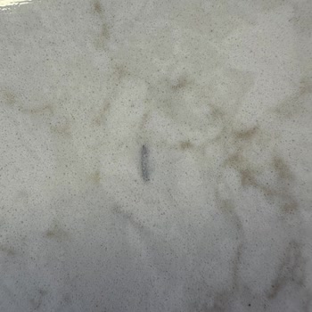 Belenco’dan Tek Taş Gönderimi Ve İşçilik Ücreti Sorunu
