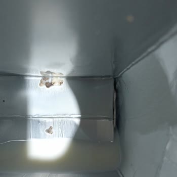 Zümrüt Şubesinden Aldığım Dost Sütte Küf Parçaları Çocuğumu Hastalığa Soktu