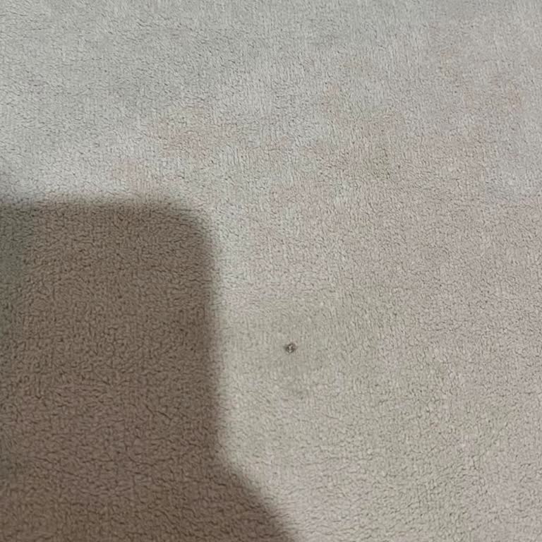 Yanık İzli Koltuk Takımının Tam Değişim Talebi