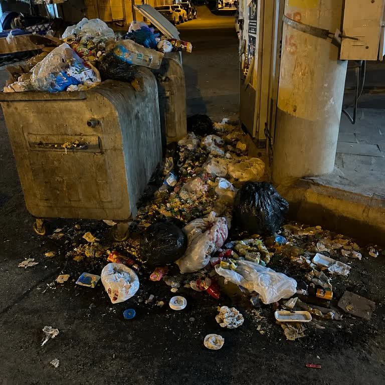 Kızıltepe'de Çöp Konteyneri Eksikliği ve Temizlik İhtiyacı