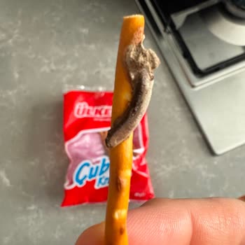 Ülker Tuzlu Çubuk Krakerinde Küf Ve Yabancı Madde Tespiti
