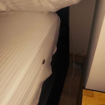 Yanıltıcı Otel Konumu Ve Kahvaltı İddiası Nedeniyle 3500 TL İade Talebi