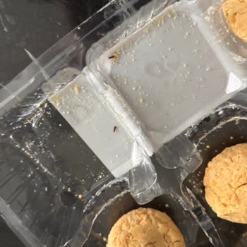 Şile Halk Ekmek Kurabiyesinde Böcek Bulunması Hijyen İhlali