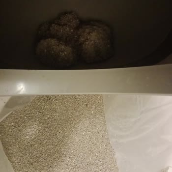 Kochler Otomatik Kedi Tuvaletinde Koku Ve Sızıntı, Servisin İade Yaklaşımı Çözüm Getirmedi