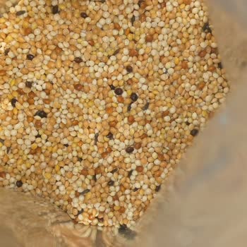 Şok Market Kuş Yemi İçindeki Uzun Yabancı Maddeler Hakkında Bilgi Talebi