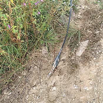 Kablodaki Kopma Nedeniyle İnternet Kesintisi Ve Müşteri Numarasının Engellenmesi