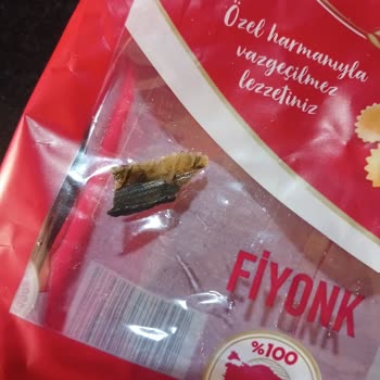Makarnada Yüzdeki Siyah Cisim Hijyen Endişesi Yarattı