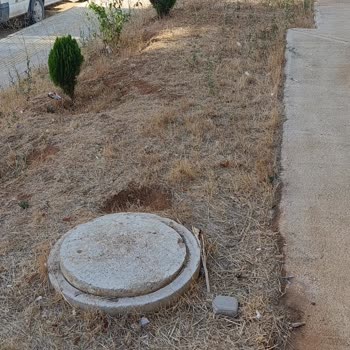 E1-1 Blok Önündeki Kurumuş Peyzaj Alanının Acil Sulanması Ve Bakımı