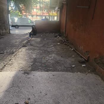 Pencere'den Atılan Çöpler Ağacı Kirletiyor Ve Sağlık Tehlikesi Oluşturuyor