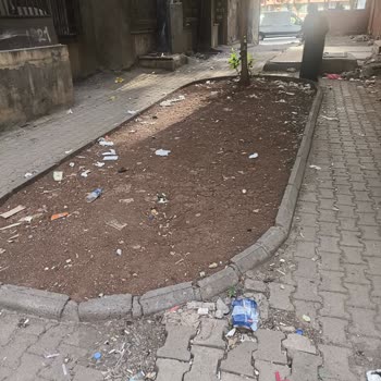 Pencere'den Atılan Çöpler Ağacı Kirletiyor Ve Sağlık Tehlikesi Oluşturuyor
