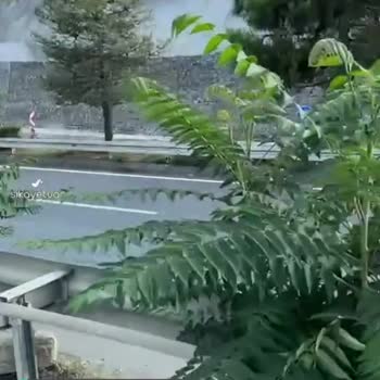 Akçaabat Belediyesi Kaldırımlar Vatandaşların Mı Otların Mı?