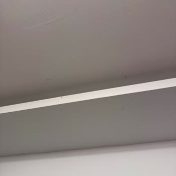Touristica’nın Yanıltıcı Otel Seçimi Ve Hastalığa Yol Açan Koşullar