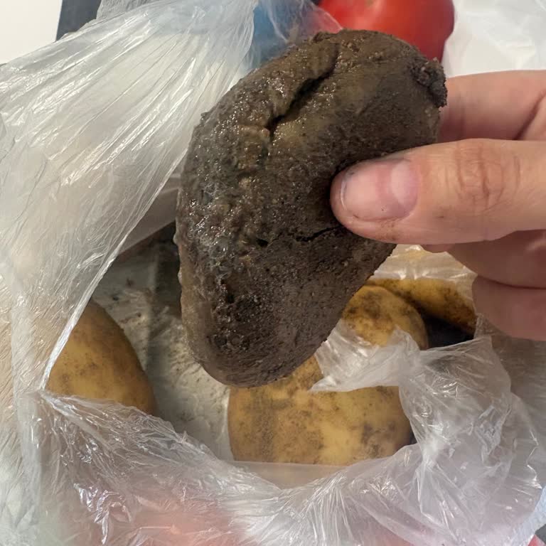 Çürük Patates Teslimi Ve Müşteri Hizmetlerinden Cevap Gelmemesi