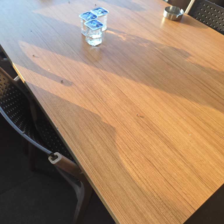 Berceste Restoranındaki Sinek Sorunu Ve Hijyen İhmalı