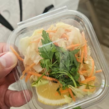 Salatada Canlı Sinek Bulunması Hijyen Sorunu