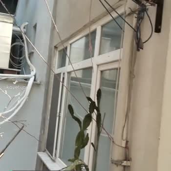 Maydonoz Döner'den Şikayetçiyim!