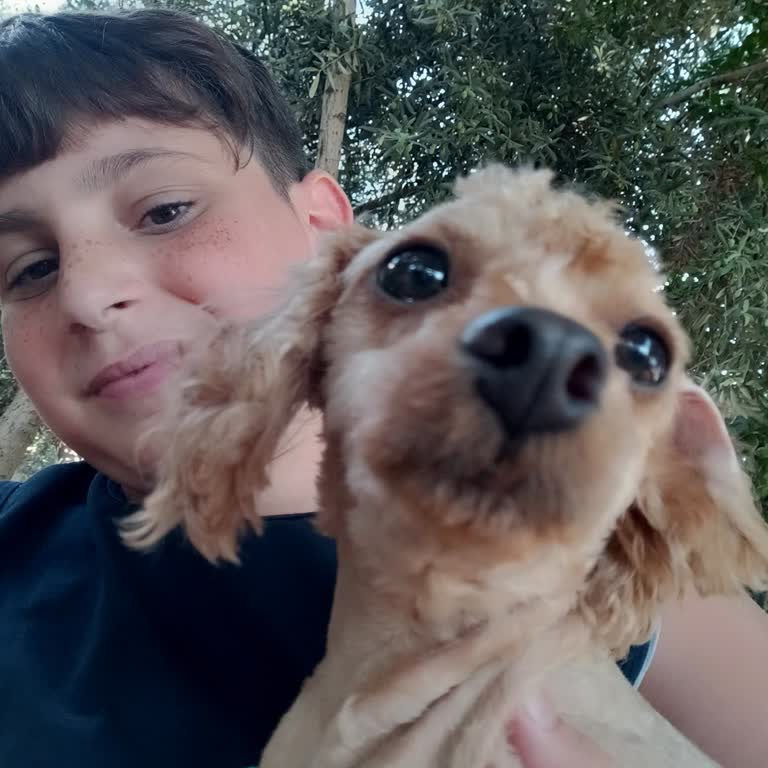 Aile Yanında Olmasına Rağmen Çocuğa Giriş Reddi