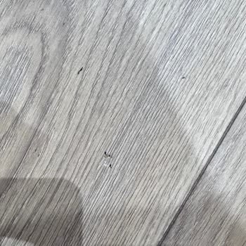 Newjoy Kurulum Hatası Ev Ve Mobilyalarımda Büyük Hasar