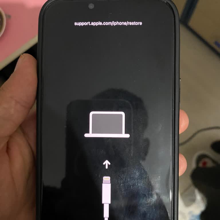 EasyCep İPhone 13 Pro Max Tekrarlayan Yazılım Hatası Ve İade Talebi