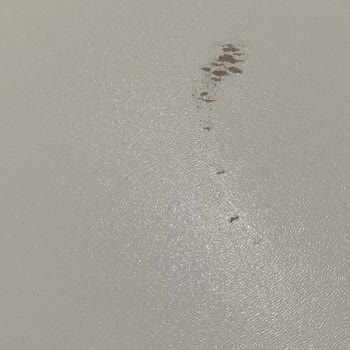 Teslimat Sonrası Ürün Kusurları Ve Cevapsız Müşteri Hizmeti