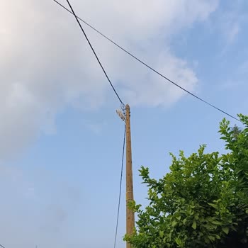 Komşu Avlusunu Aydınlatan Sokak Lambası Güvenliği Tehlikeye Atıyor