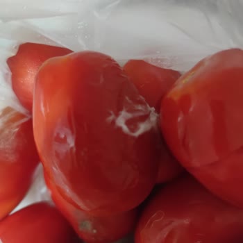 Migros Sanal Market’te Bozuk Domates Teslimatı Ve İade Sürecindeki Cevapsızlık