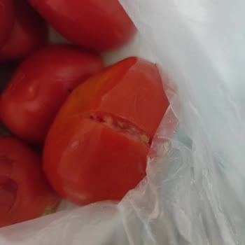 Migros Sanal Market’te Bozuk Domates Teslimatı Ve İade Sürecindeki Cevapsızlık