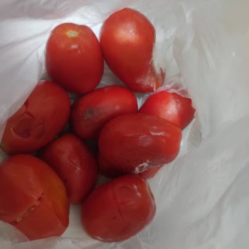 Migros Sanal Market’te Bozuk Domates Teslimatı Ve İade Sürecindeki Cevapsızlık