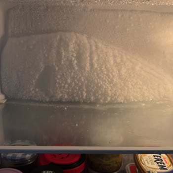 Dijitsu Buzdolabının Karlanması Ve Gıda Bozulması, Yetkili Servis Yok