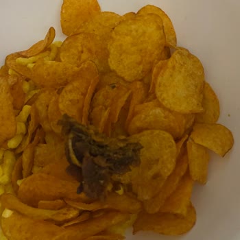 Lay’s Cipslerde Yabancı Madde Ve Çocuk Sağlığı Endişesi