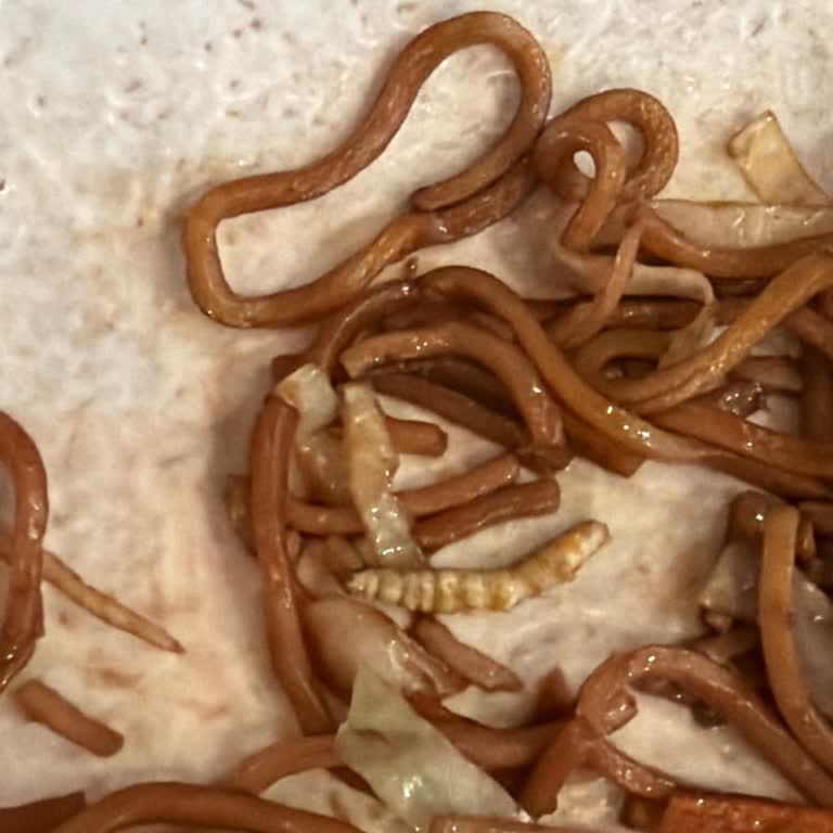 Tırtıllı Noodle Ve İlgisiz Hesap Yaklaşımı Sushico Şubesinde
