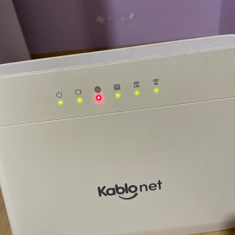 Kablo Net'te Sürekli İnternet Kopması Ve Dinamik IP Sorunu