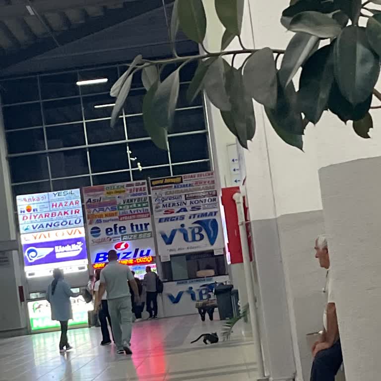 Yanıltıcı Erken Gelme Bilgisi Ve Uzun Süreli Gecikme Nedeniyle Telafi İsteği