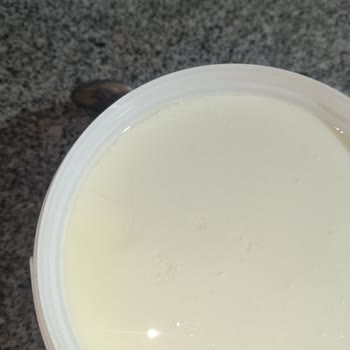 Sek Yoğurdunda Kıl Çıktı, Hijyen Endişesi