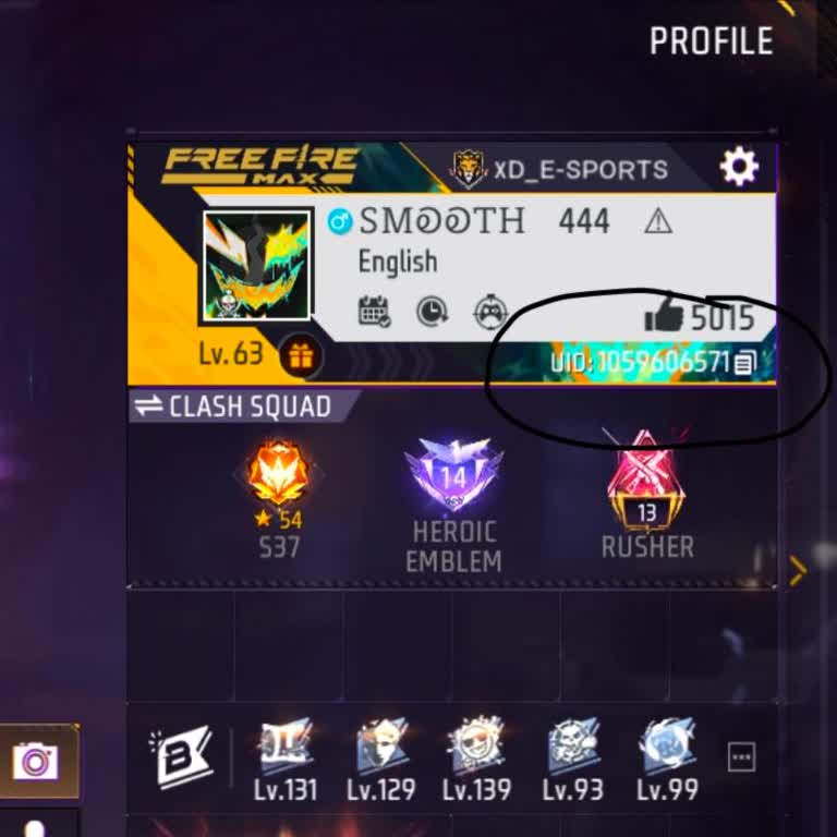 My Free Fire Max Account Was Hacked