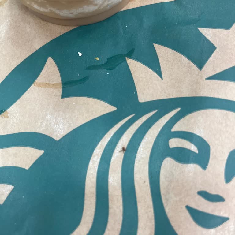 Starbucks’ta İçecek İçinde Sinek Tespit Edildi Ve Hijyen Şikayeti