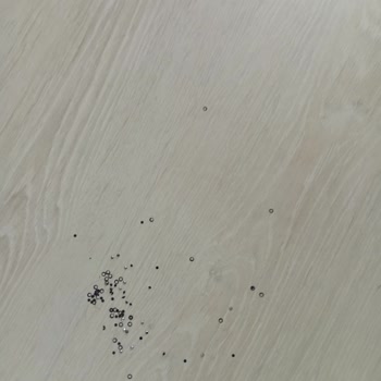 Cansu Dikici Elbise Elime Ulaştığında Pullarının Döküldüğünü Fark Ettim