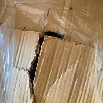 1200 TL’lik Siparişte Hijyenik Olmayan Paketleme Ve Engelleme