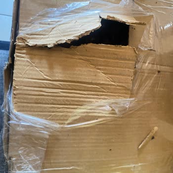 1200 TL’lik Siparişte Hijyenik Olmayan Paketleme Ve Engelleme