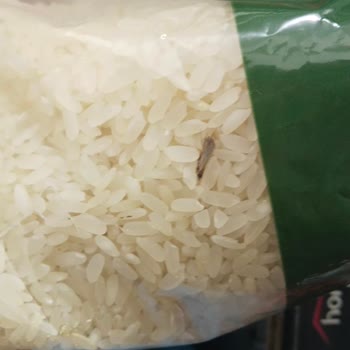 Açılmamış Pirinçte Kurtlar, Fiş Olmadan İade Reddedildi