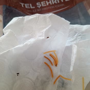 Canlı Böcekli Şehriye Satışı Gıda Güvenliğini Sarsıyor