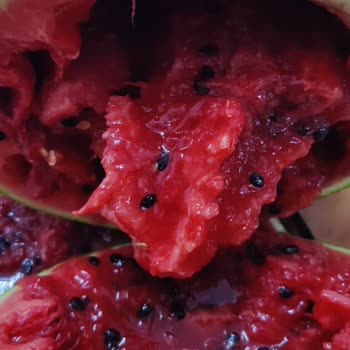 A101 Kapıda Bozuk Karpuz İçin İade Talebi