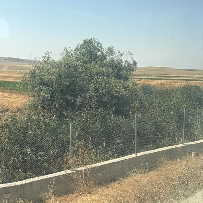Yüksek Hızlı Tren Arızası Ve Uzun Bekleme Üzerine 1000 TL Ücretine Karşı Şikayet