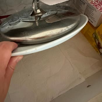 Sapanca Bungalovunda Kirli Ortam Ve Kırık Havuz Fayansları Nedeniyle Yaralanma